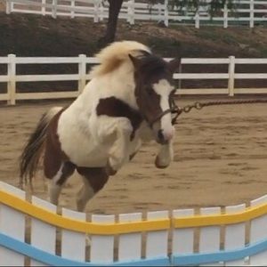 Meet your Posher, Tiffany